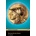 Alexander the Great + MP3