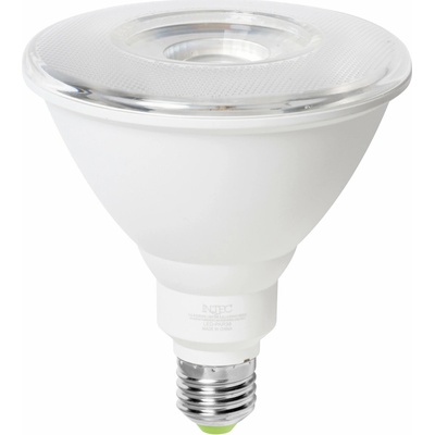 FanEurope Fan KLASSIC-PAR38M LED žárovka PAR38 E27 15 W 1250 lm 4000 K