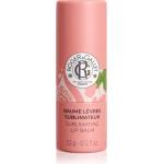 Roger & Gallet Fleur de Figuier Sublimating Lip Balm балсам за устни 3.5 гр