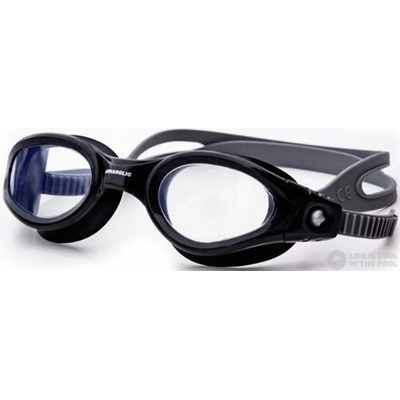 Elbe Swim