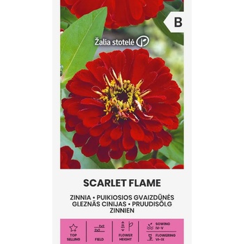 Image 1 of Seklos Циния червена Scarlet Flame Zinnia elegans dahlienflora