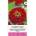 Seklos Циния червена Scarlet Flame Zinnia elegans dahlienflora