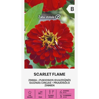 Seklos Циния червена Scarlet Flame Zinnia elegans dahlienflora