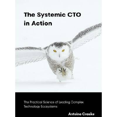 The Systemic CTO in Action | Antoine Craske