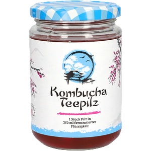 Gall Pharma Подсилва имунитета Комбуча Чаена гъба с ферментирал плодов чай 200 ml (01683 (1999253) GP)