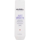 Goldwell Dualsenses Just Smooth Shampoo 250 ml