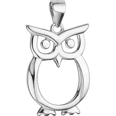 Pavona Stříbrný přívěsek sova 64034