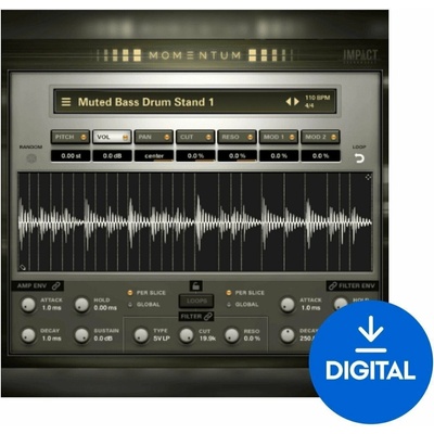 Impact Soundworks Momentum - Acoustic Rhythmic Loops (Digitálny produkt)