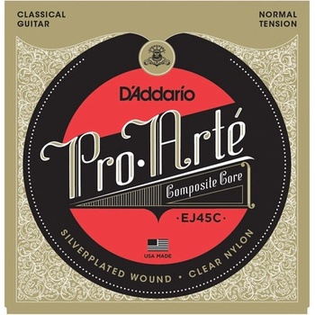 Daddario EJ45C