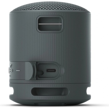 Sony SRS-XB100