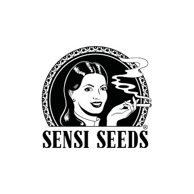 Sensi Seeds Jamaican Pearl semena neobsahují THC 5 ks – Zboží Mobilmania