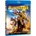 Bumblebee BD