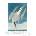 Принт Arctic Tern, Джон Джеймс Одюбон - репродукция (Print1051)