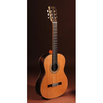 Sigma Guitars CR-6