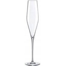 RONA Skleničky na šampaňské SWAN 6 x 190 ml