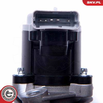 AGR-Ventil ESEN SKV 14SKV173
