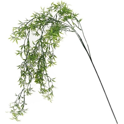 KONÁR ASPARÁT ZELENÝ 104CM