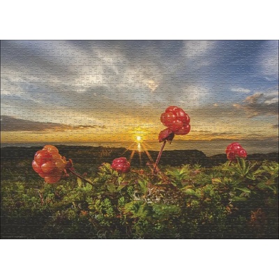 Heye - Puzzle Rikardsen: Cloudberries - 1 000 piese