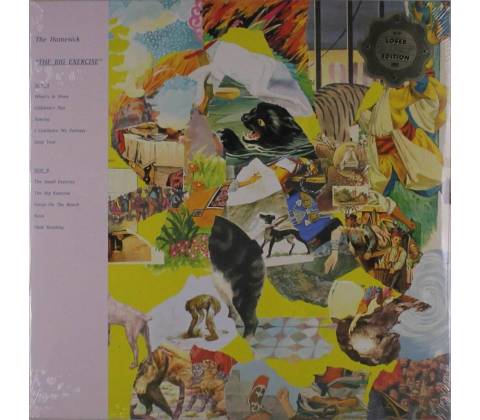 HOMESICK - BIG EXERCISE LP