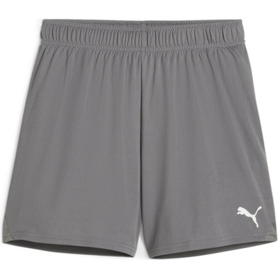 Puma teamGOAL Shorts Wmns šedá