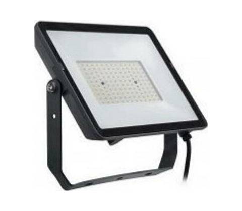 Philips BVP008