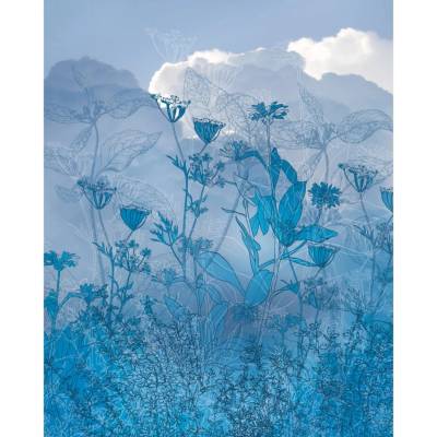 Komar Vliesová fototapeta Blue Sky rozměry 200 x 250 cm