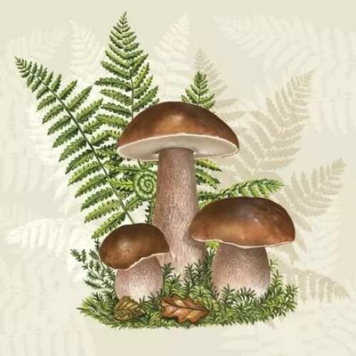 Pol-Mak Collection Ubrousek 33x33cm Houby a kapradí – Zboží Mobilmania