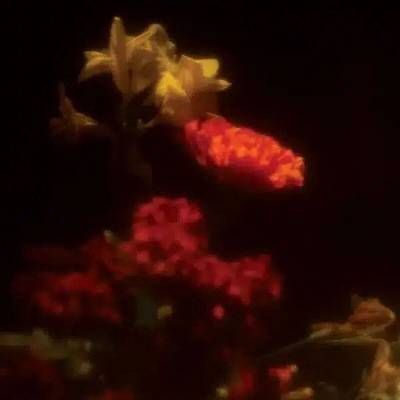 Grégoire Gerstmans - Hypnagogie (LP) (5400863173258)