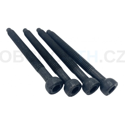 Skrutka M6x58 Thule 52737 4 ks