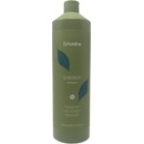 Echosline Energy Shampoo 1000 ml