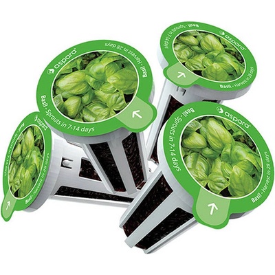 Semená GrowGreen aspara - bazalka