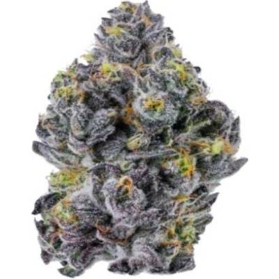 Growers Choice Sticky Wasabi Triploid F1 semena neobsahují THC 3 ks