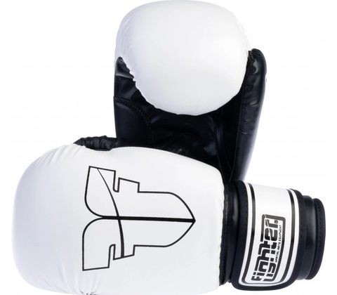 Fighter Basic