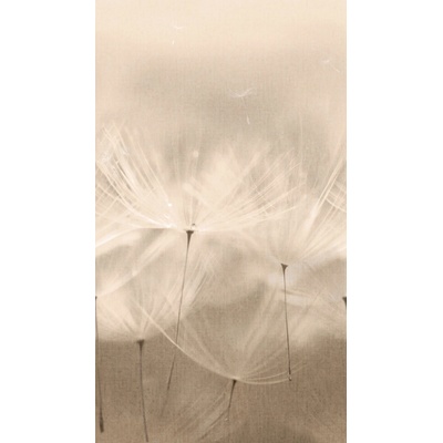 Grandeco, 203801, Vliesová fototapeta na zeď, pampelišky, rozměry 159 x280 cm