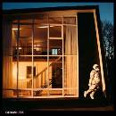 IDLES - CRAWLER LP