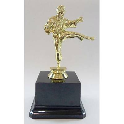 VIZINGR Karate figurka MUŽ zlato F10-60Z F10-60Z/17,5 cm