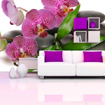 Sablio Tapeta Orchideae a kamene, rozmery 336x220 cm