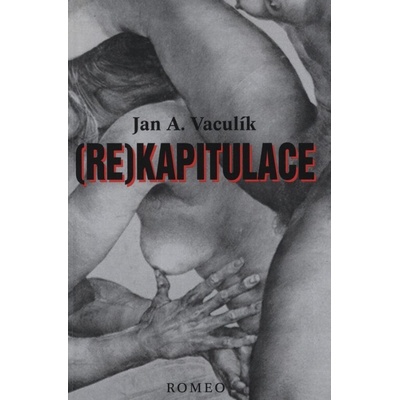 Rekapitulace - Jan A. Vaculík