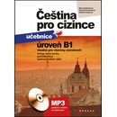 Čeština pro cizince