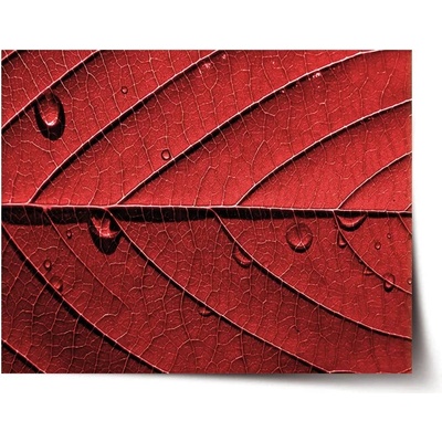 Sablio Plagát Červený list - 60x40 cm