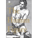 Human Figure
