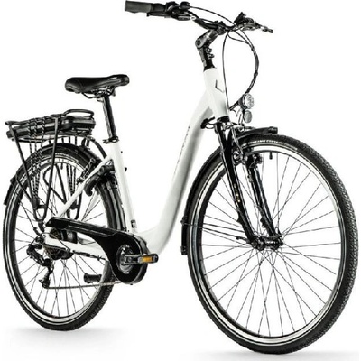 Leader Fox Park City 2024