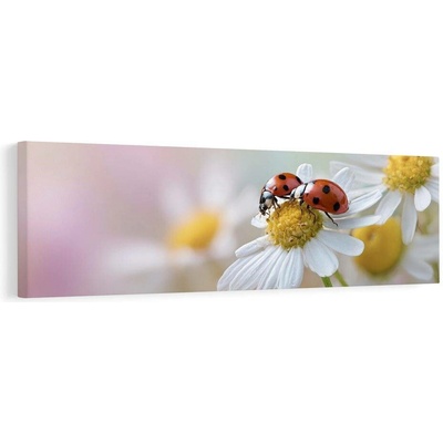 Obraz příroda plná života - 135x45