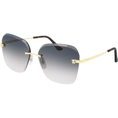 Cartier CT0147S 002