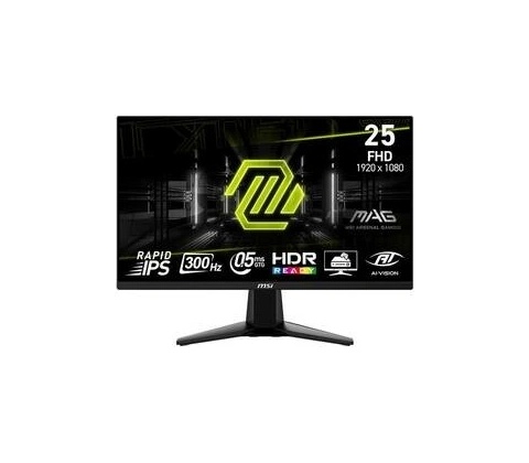 MSI MAG 255XF