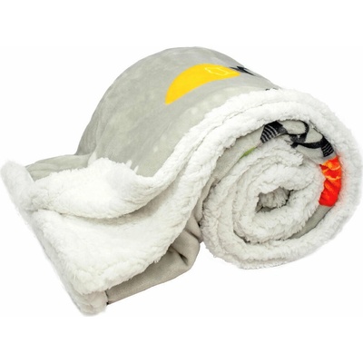 ARÔME HOME Deka 1b s beránkem mikroflanel 460 GSM 150x200