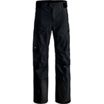 Ortovox Мъжки ски панталон Ortovox Ravine Free 3L Pants Ski trousers - Black Raven (007-4219-0111)