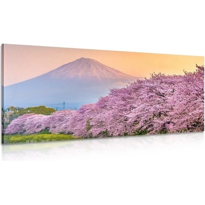Obraz nádherné Japonsko - 120x60
