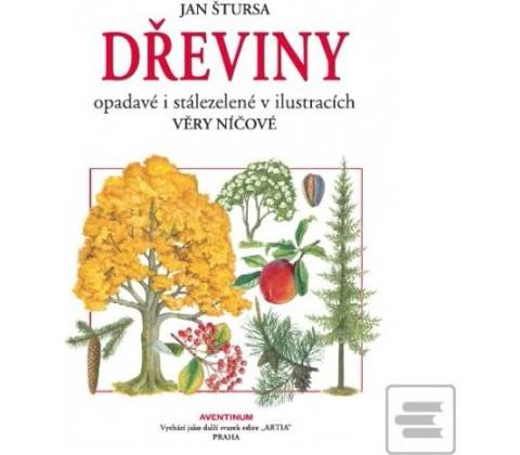 Dřeviny