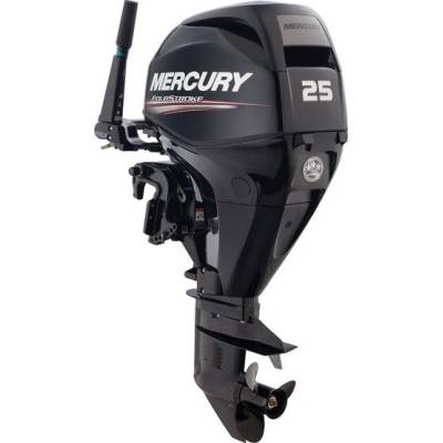 MERCURY F 25